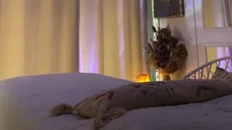 Beauty Bar Chillán interior