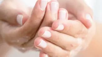 AMANO CASACOSTANERA interior