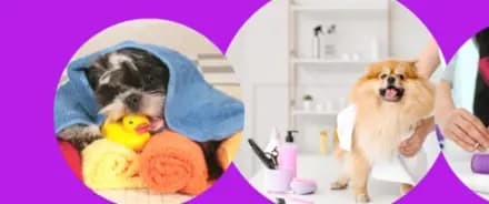 Patitas de Colores interior