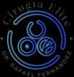 Cirugía Elite by Dr Rafael Fernández logo