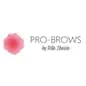 Pro-Brows by Rita Ibarra logo
