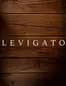 LEVIGATO Hair Studio logo