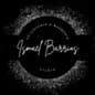Ismael Barrios Studio logo
