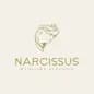Narcissus Medicia estetica logo