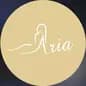 Aria Estetica logo