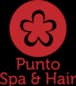 PUNTO SPA HAIR logo