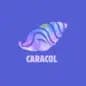 Centro Caracol logo