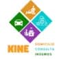 KINE DOMICILIO Y CONSULTA TALCA logo