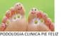 PODOLOGIA CLINICA PIE FELIZ SPA logo