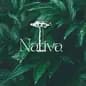 Nativa Vilcún logo