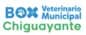 SERVICIOS VETERINARIOS MUNICIPALIDAD DE CHIGUAYANTE logo