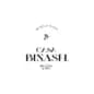 Casa Binash logo