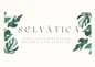 Selvática Estudio MX logo