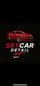 Skys car detail logo