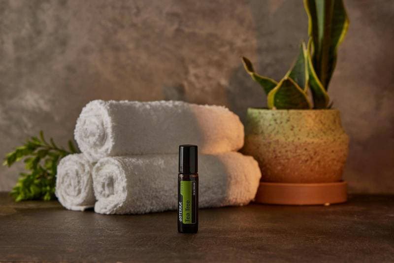 Kasa Beauty interior