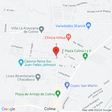 Veterinaria GoldenVet map