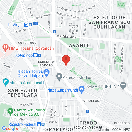 Estética unisex Lalo's map