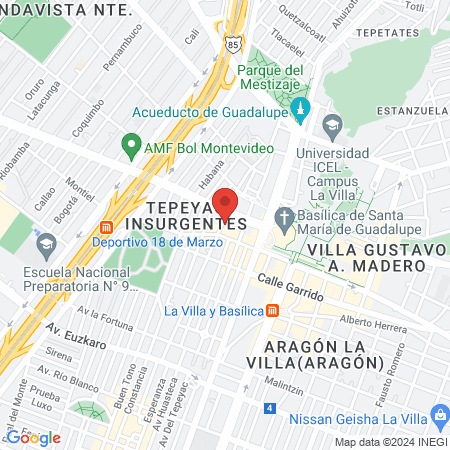 Everlin estética map