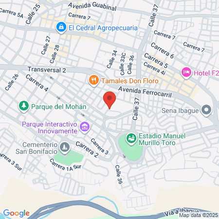 Dr Andres Felipe Navarro Palacino map