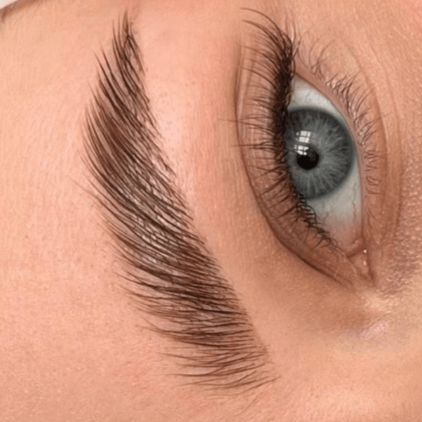 Brow Lamination + visagismo + sombreado