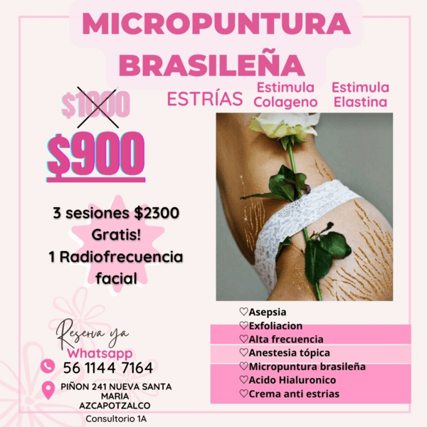 MICROPUNTURA BRASILEÑA