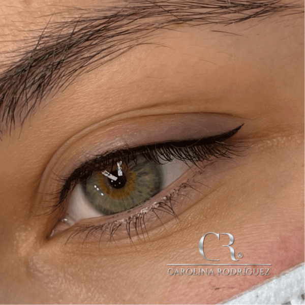 Delineado Tradicional