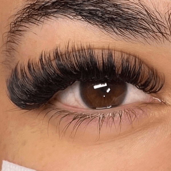 Closed fand con kelly