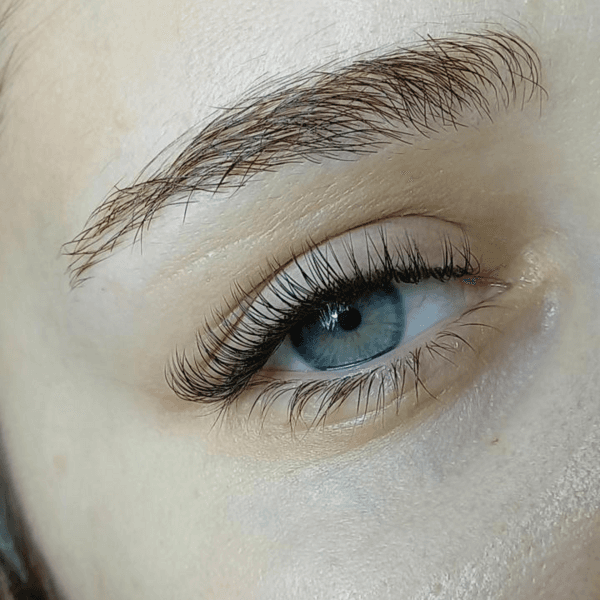 Extensiones hibridas