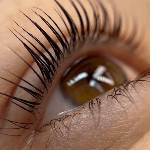 Lifting de Pestañas + Hidratación + Tintura.