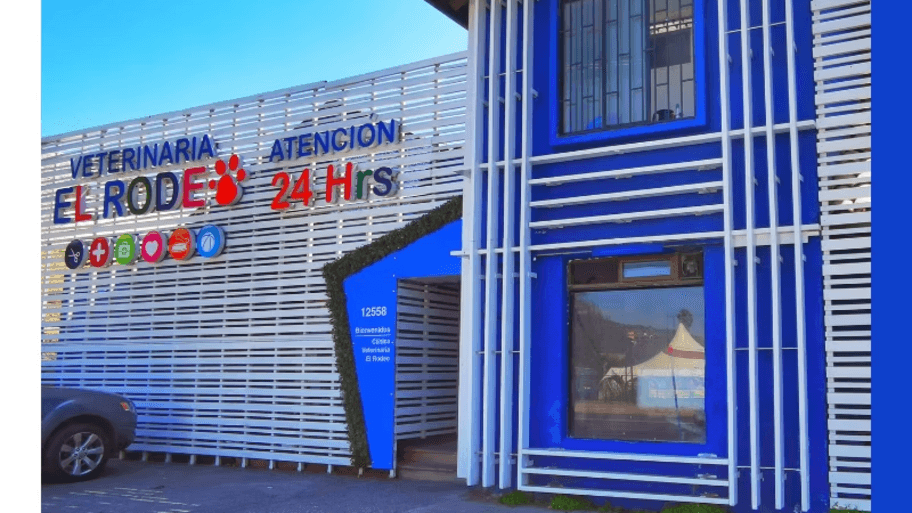 Veterinaria El Rodeo interior