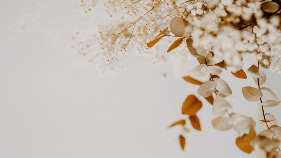 Espacio Aesthetic interior