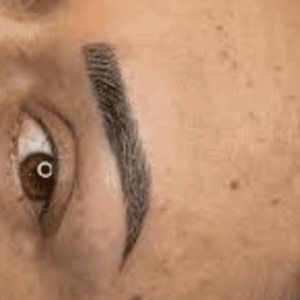 📘 CORRECCIÓN DE CEJAS TATUADAS