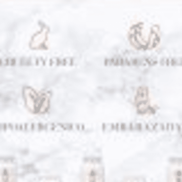 Bronceado Litebrush FACIAL CANNELLE