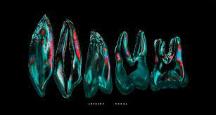 Jorge Reyes Guadarrama photo