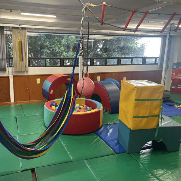 Valoración Integración Sensorial