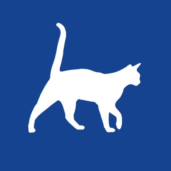 Consulta Especialidad en Felino