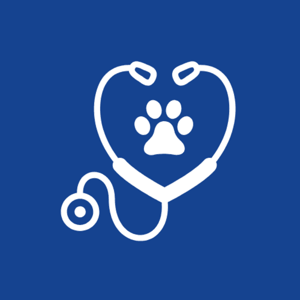 Control Medicina Interna Canino