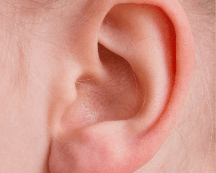 1° Consulta Auriculoterapia