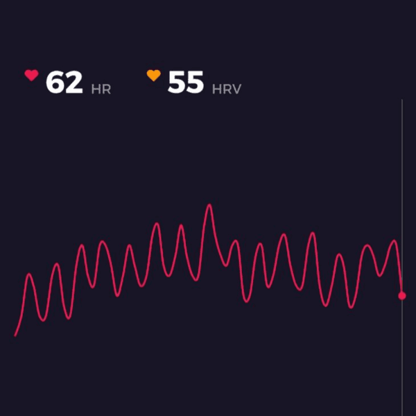 Rehabilitación Autonómica