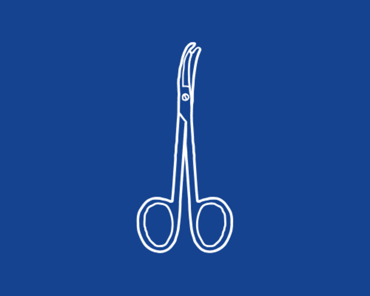 Retiro de puntos Canino