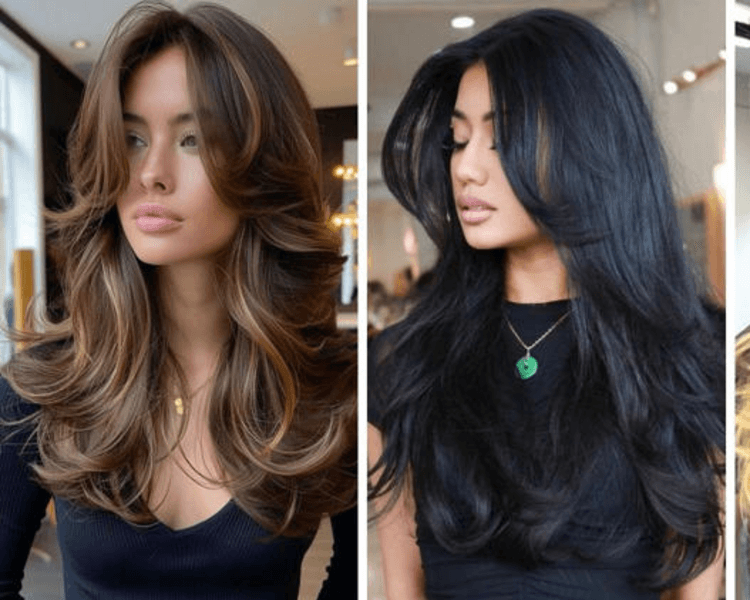 Solo Corte de Cabello