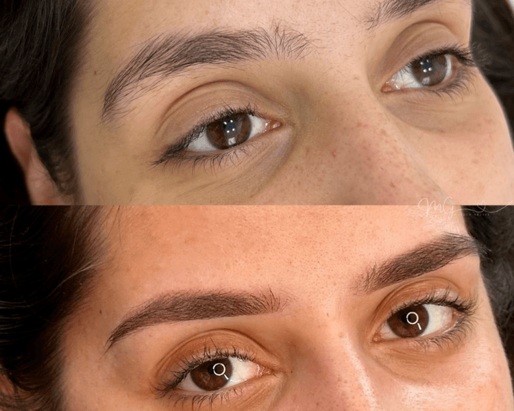 Microshading cejas 1ra sesión