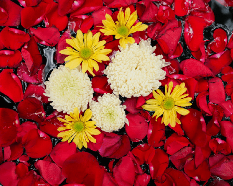 Bañera de Jardín (Valor por una o dos personas)