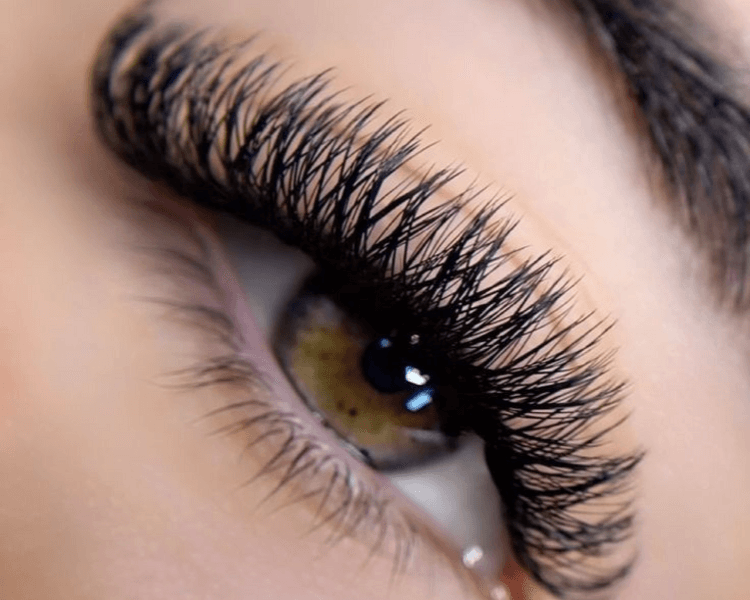 VOLUMEN BRASILERO YY FIBRAS TECNOLOGICAS