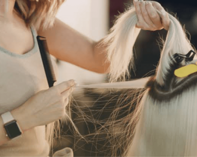 Mantenimiento 1 mecha micro ring 1x1