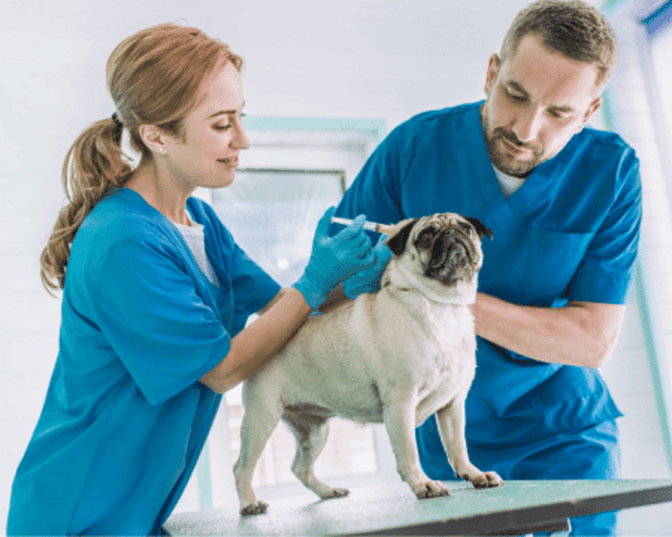 Consulta día domingo