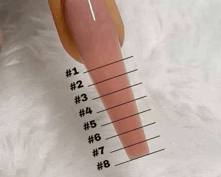 Polygel escultural #3