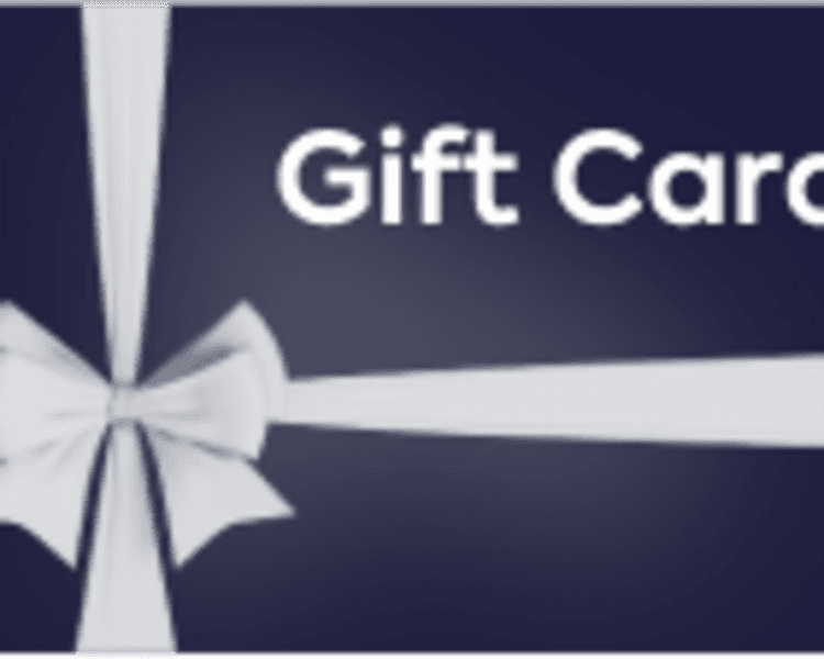 terapia inicial perro