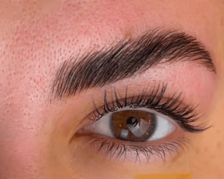 Laminado de Cejas + Nutrición + tintura.