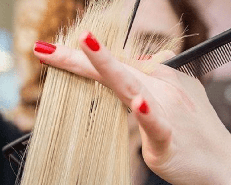 Corte de Puntas + Secado